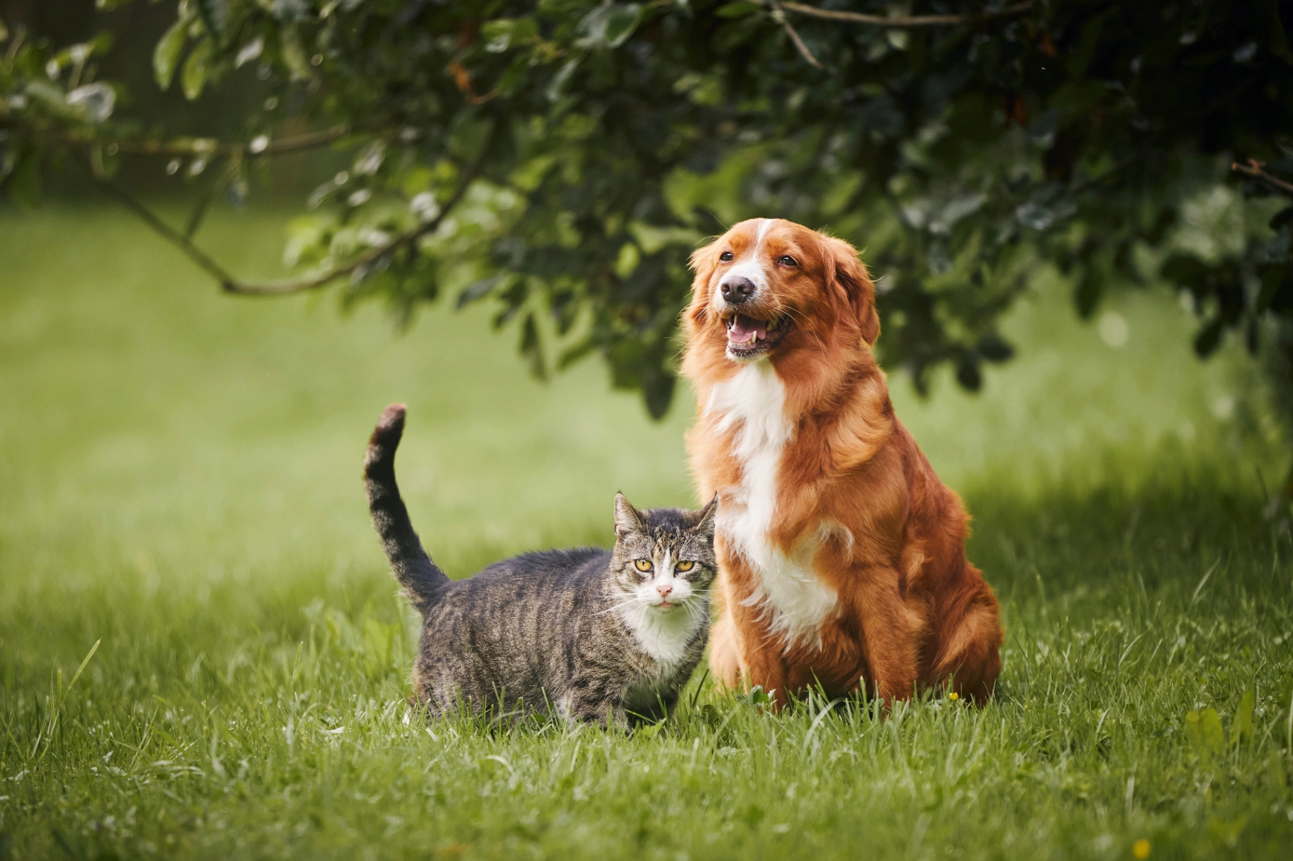 AdobeStock_612407153